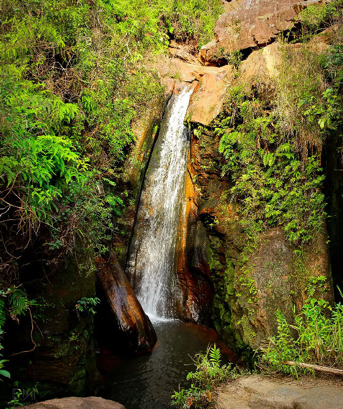 Cachoeira dos Pelados - PNMA