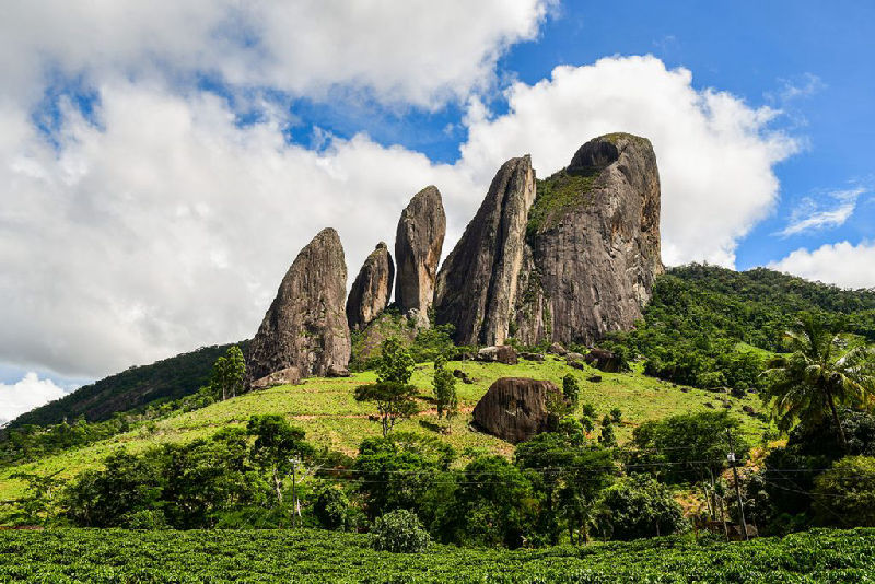 Pontão Maior - Cinco Pontões – Laranja Da Terra
